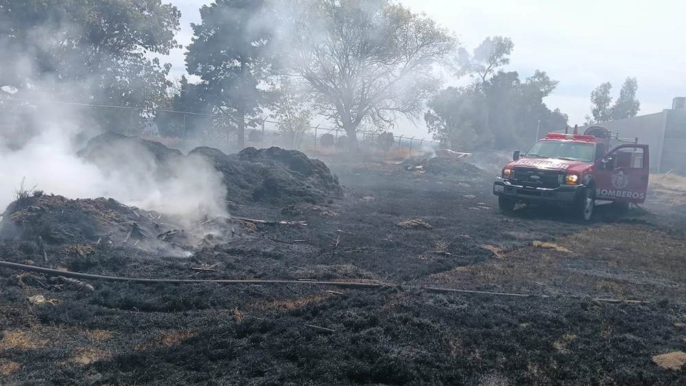 Sin daños, incendio de pastizales cerca del Tecnológico de San Martín Texmelucan