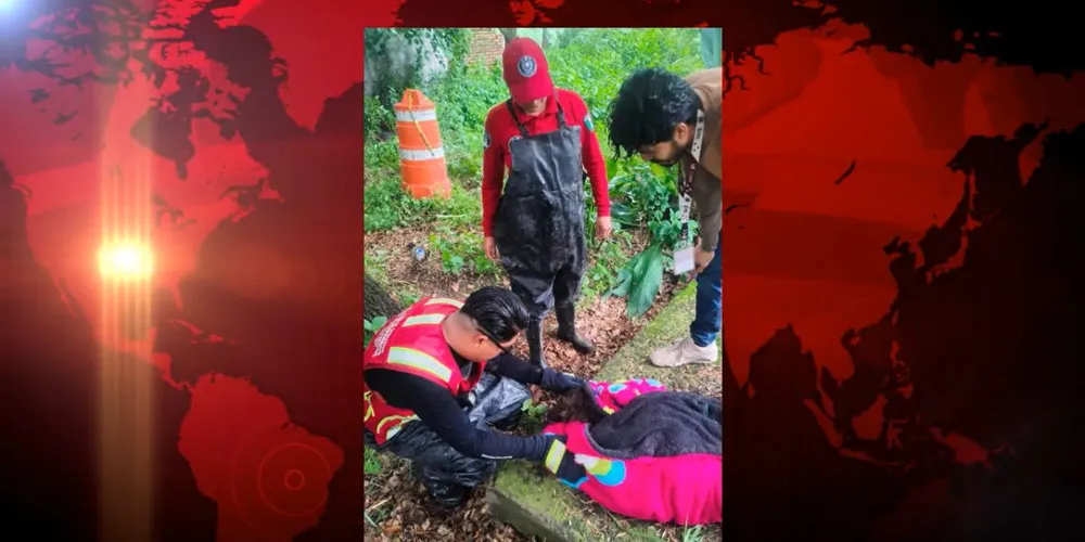 Bomberos y Protección Civil rescatan a canino de un pozo en Cuautlancingo